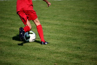 九游游戏中心下载-CBA球队完善伤病防护体系保障运动员健康和职业生涯，cba球员伤情报告